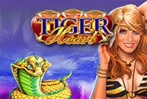 RTP Playngo  wdbesar77